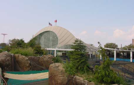 Whale Pool Enclosure